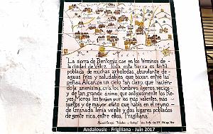 549 - Frigiliana